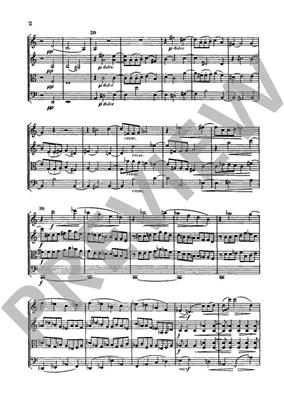 Johannes Brahms: String Quartet Op 51 No 2 In A Minor: Streichquartett