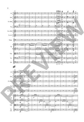 Ludwig van Beethoven: Symphony No.5 Op.67: Orchester