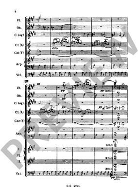 Alexander Porfiryevich Borodin: Principe Igor: Danze Polovesiane: Orchester