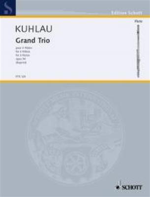 Friedrich Kuhlau: Grand Trio op. 90: Flöte Ensemble
