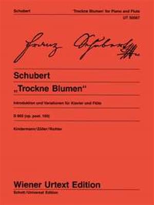 Franz Schubert: Introduz.E Var.Op.160(Kindermann/Zoeller/Richter): Flöte mit Begleitung