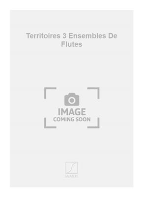 Patrice Bocquillon: Territoires 3 Ensembles De Flutes: Flöte Duett