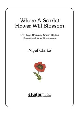 Nigel Clark: Where A Scarlet Flower Will Blossom: Trompete Solo