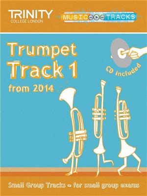Small Group Tracks - Trumpet Track 1: Trompete Solo