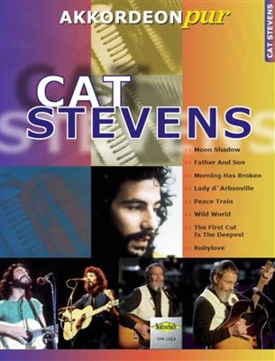 M. Stevens: Cat Stevens: Akkordeon Solo
