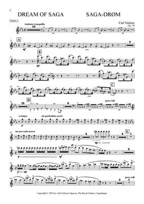 Carl Nielsen: Saga Dream Op.39: Orchester