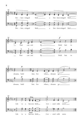 Roland Carter: Hold Fast to Dreams: Gemischter Chor mit Klavier/Orgel
