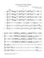Antonio Vivaldi: Concerto for Two Flutes in A Minor, RV 522: (Arr. Shaul Ben-Meir): Flöte Ensemble