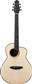 LS600E All Solid Electro Acoustic Guitar