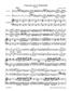 Antonio Vivaldi: Concerto for two Violoncellos in G minor RV 531: (Arr. Martin Schelhaas): Streichensemble