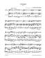 Wolfgang Amadeus Mozart: Violin Concerto No.2 in D major K.211: Streichensemble