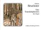 Anton Bruckner: Orgelwerke: Orgel