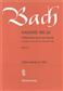 Johann Sebastian Bach: Cantata No.54 'Widerstehe Doch Der Seunde': Orchester mit Solo