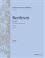 Ludwig van Beethoven: Violinkonzert op. 61: Orchester mit Solo