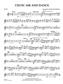 Celtic Air and Dance: (Arr. Michael Sweeney): Blasorchester