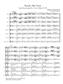 Wolfgang Amadeus Mozart: Rondo Alla Turca for Flute Orchestra: (Arr. Shaul Ben-Meir): Flöte Ensemble