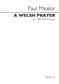 Paul Mealor: A Welsh Prayer: (Arr. Edward-Rhys Harry): Männerchor mit Klavier/Orgel